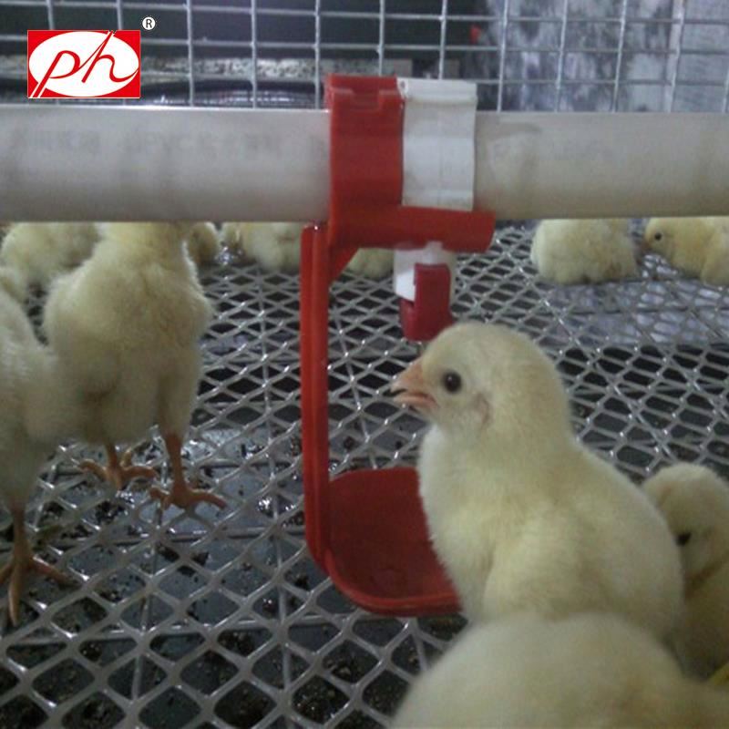 ����ˮ��ͷ