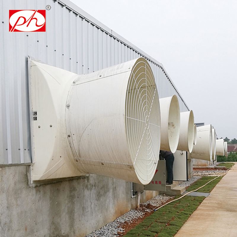 �����ַ��