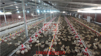 ��Ѽ�豸-����