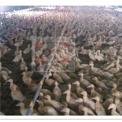 ��Ѽ�豸-ˮ��