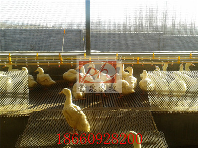 ��Ѽ�豸-ˮ��