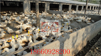 ��Ѽ�豸-ˮ��