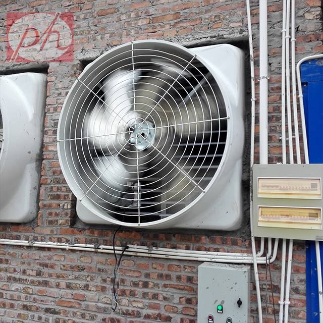 �����ַ��