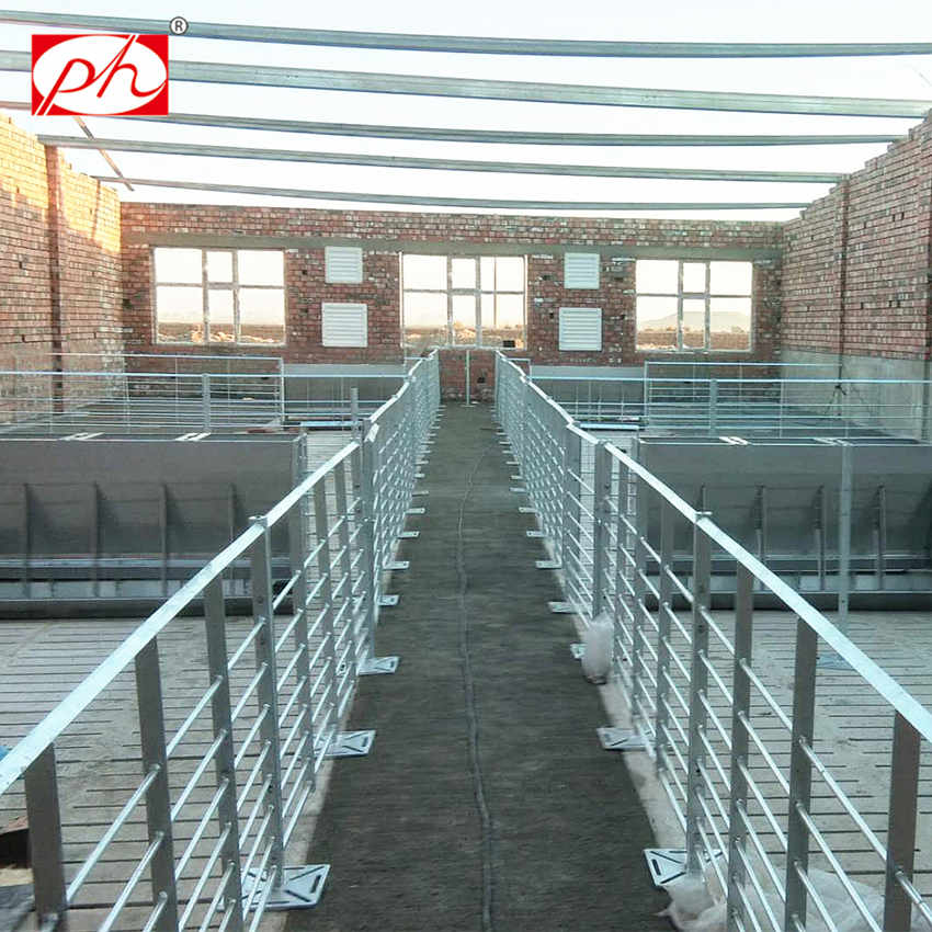 ��ʽ����