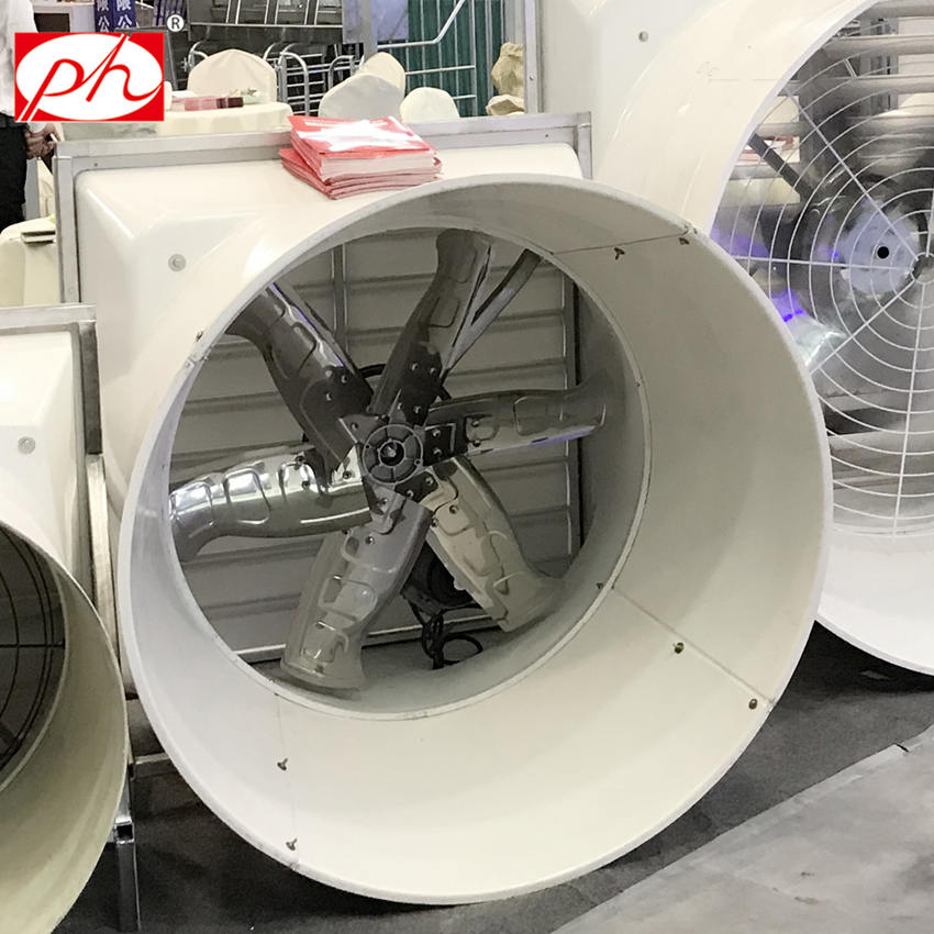 �����ַ��