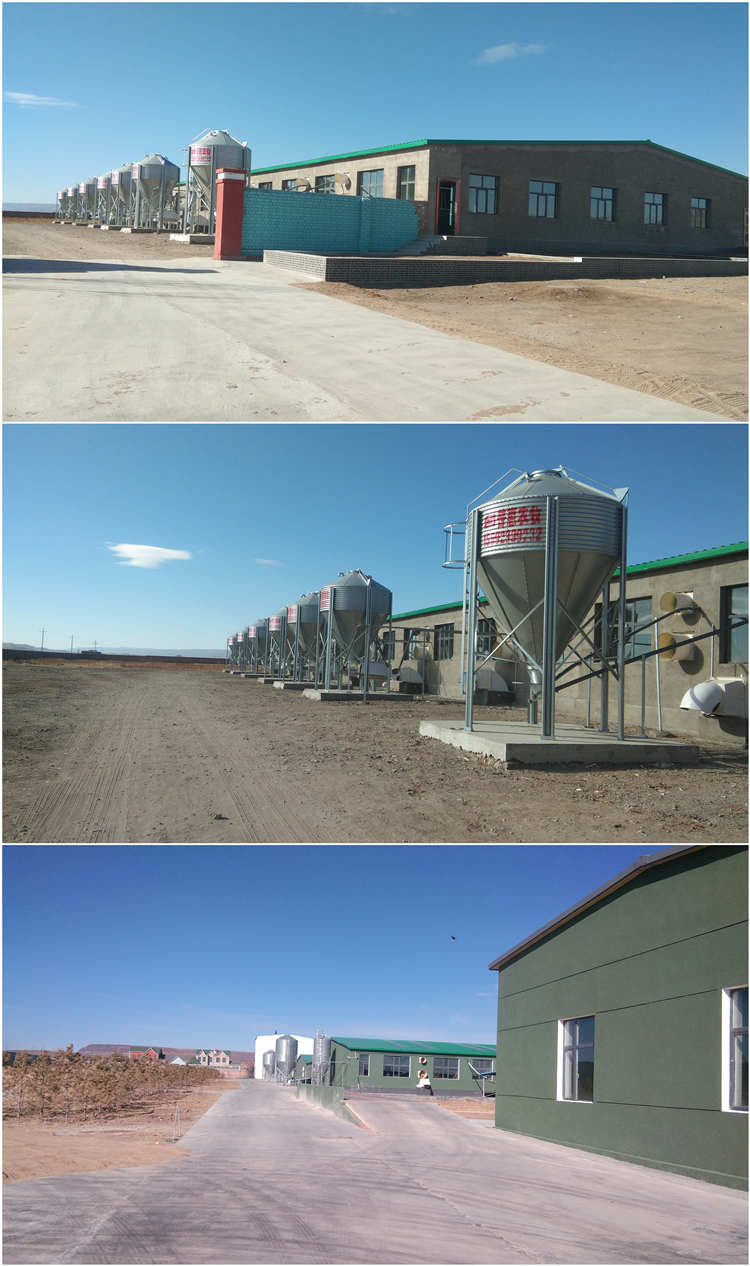 ���ɹ����ũ��ҵ����